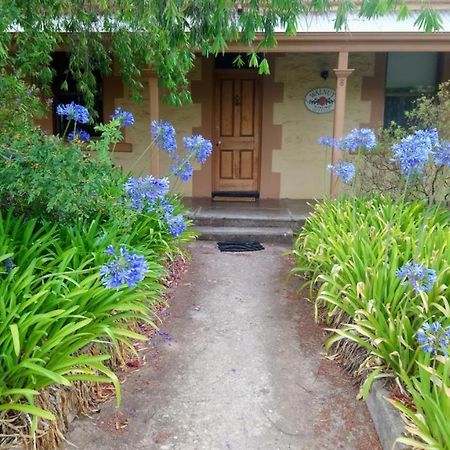 Walnut Cottage Angaston Dış mekan fotoğraf