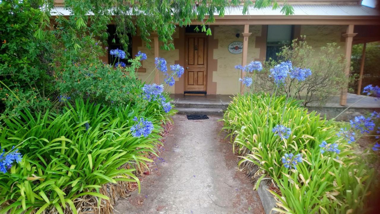 Walnut Cottage Angaston Dış mekan fotoğraf