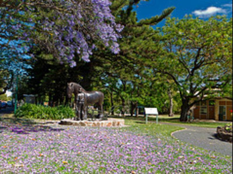 Walnut Cottage Angaston Dış mekan fotoğraf