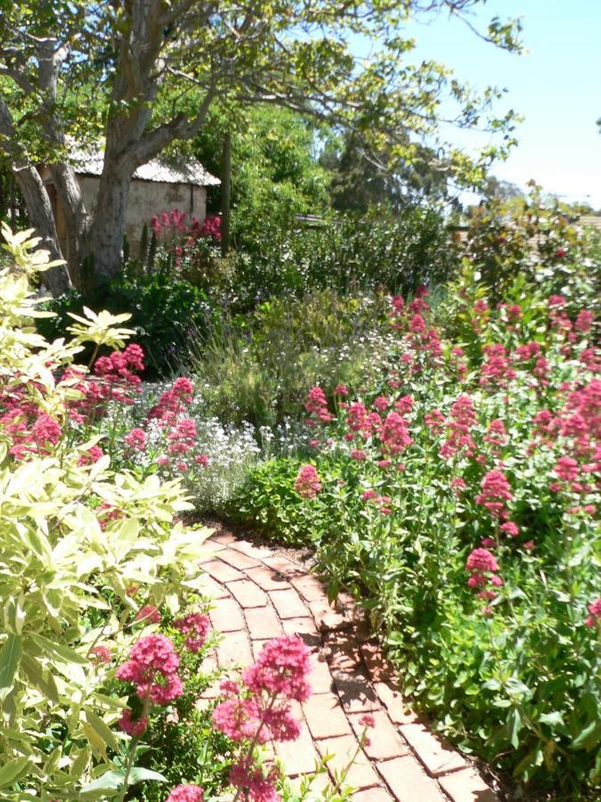 Walnut Cottage Angaston Oda fotoğraf